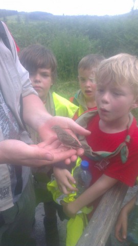 Sint-Martinus den XIIde - Kamp Bourseigne-Neuve KHV